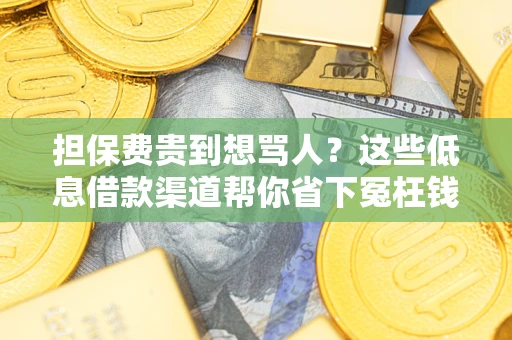 济南担保费贵到想骂人？这些低息借款渠道帮你省下冤枉钱