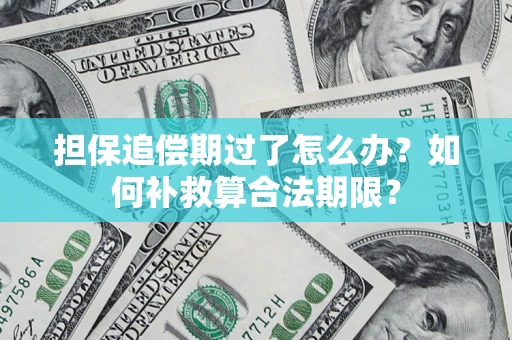 济南担保追偿期过了怎么办？如何补救算合法期限？