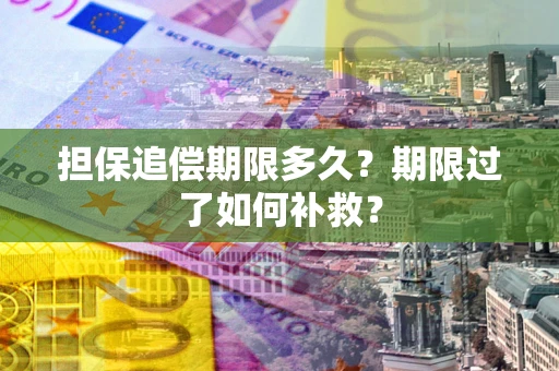 济南担保追偿期限多久？期限过了如何补救？